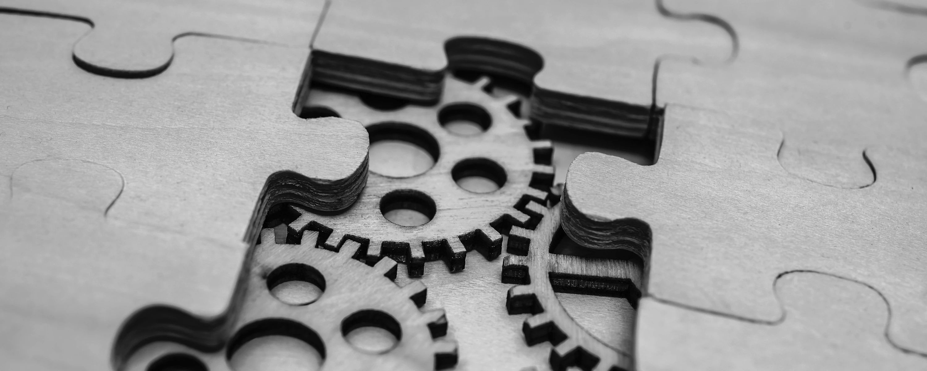 Verzahnte Zahnräder, die perfekt in eine Aussparung eines Puzzles passen – Sinnbild für integrierte und funktionierende Digitalisierungslösungen.